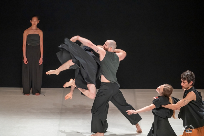 Tendre colére E2-40 